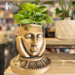 decorative plant