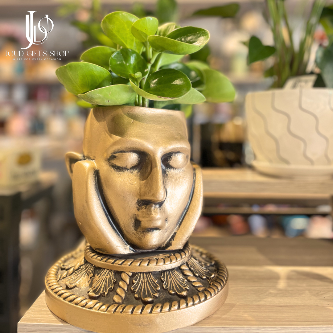 Garduations (1080 x 1080 px) (13) decorative plant